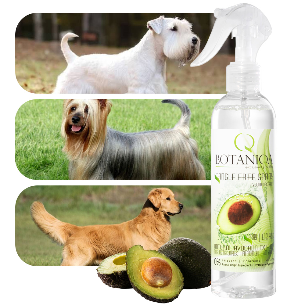 ODŻYWKA + SZAMPON + SPRAY dla psów białych BOTANIQA